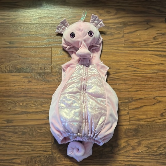Other - COSTUME!!  Adorable Seahorse costume!!  Does not cover face.  Size 12 months